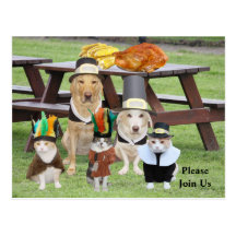 Customizable Funny Pets Thankgiving Postcard