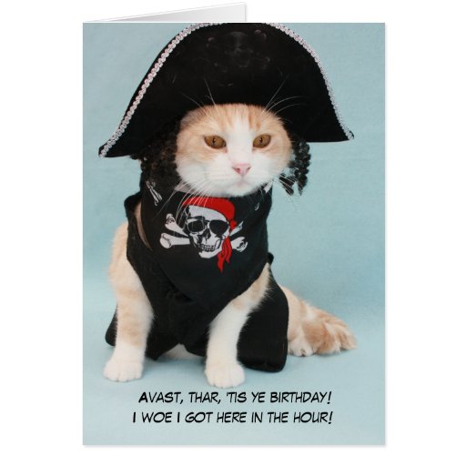 Customizable Funny Pirate Cat Greeting Card