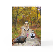 Customizable Funny Thanksgiving Card