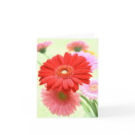 Customizable Gerber Daisies Card