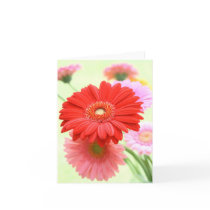 Customizable Gerber Daisies Card