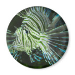 Customizable green_fish_magnets