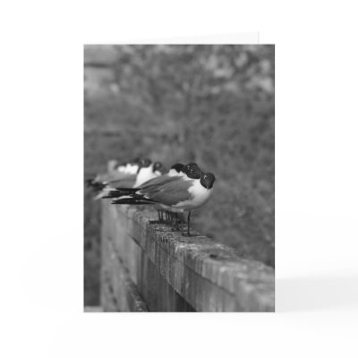 Customizable greeting card by Dynomoose
