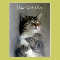 Customizable Happy Cat Post Card postcards