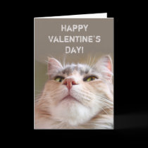 Customizable Happy Valentine's Day cards