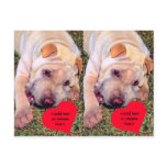 Customizable Happy Valentine's Day Chinese SharPei Postcard