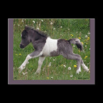 Customizable Horse Postcard #3