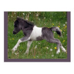 Customizable Horse Postcard #3