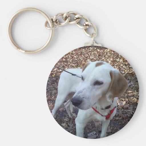 Customizable Key Chain