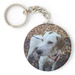 Customizable Key Chain