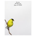 Customizable Male American Goldfinch Bird Letterhe Customized Letterhead