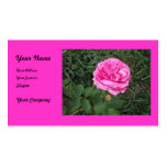 Customizable Merirose Business Card