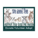 Customizable Pet Rescue postcards
