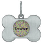 customizable pet tag - Dexter