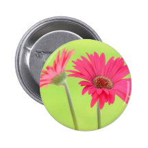 Customizable Pink Gerber Daisies on Green