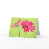 Customizable Pink Gerber Daisies on Green Cards
