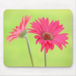 Customizable Pink Gerber Daisies on Green Mousepad mousepad
