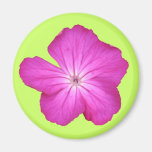 Customizable Pink Magnet