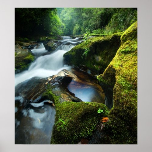 Customizable Poster: Chattooga River Waterfall