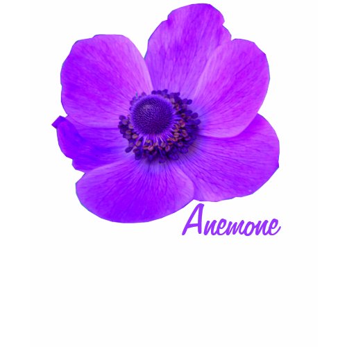 Customizable Purple Anemone Flower T Shirt shirt