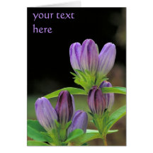 customizable purple bottle gentian greeting card