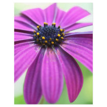 Customizable Purple Daisy Customized Letterhead