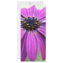 Customizable Purple Daisy Personalized Rack Card