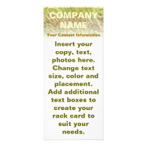 Customizable Rack Cards - Olive Medley rack cards