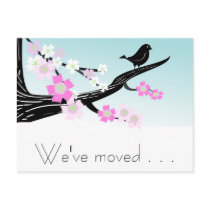 Customizable sparrow bird cherry blossoms graphic postcards