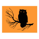 Customizable Spooky Owl Post Cards
