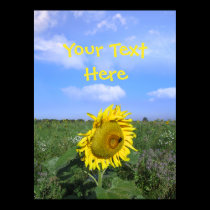 Customizable Sunflower posters