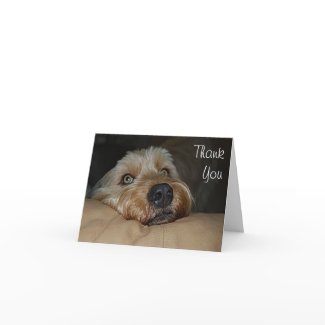Customizable Thank You Card card