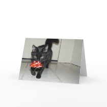 Customizable Toshi Card