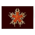 Customizable Vintage Haeckel Greeting Cards