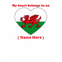 Customizable Wales T-shirt