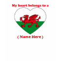 Customizable Wales T-shirt