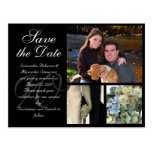 Customizable Wedding Save the Date Card 3 Pictures Post Card