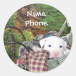 Customize Advertizing Pet Service Round Sticker