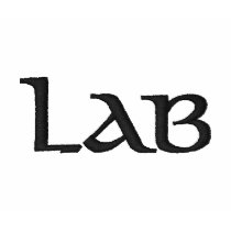CUSTOMIZE IT! LAB T SHIRT LEFT SLEEVE EMBROIDERY