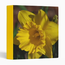 Customize Product Binders