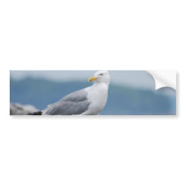 Customize Product Bumper Sticker