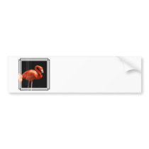 Customize Product Bumper Sticker