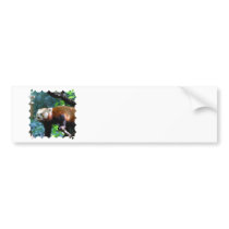 Customize Product Bumper Sticker