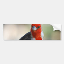 Customize Product Bumper Sticker