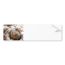 Customize Product Bumper Sticker