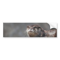 Customize Product Bumper Sticker