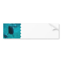 Customize Product Bumper Sticker