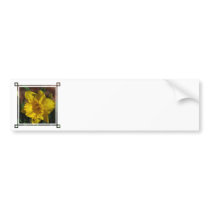 Customize Product Bumper Sticker