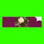 Customize Product bumper stickers