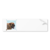 Customize Product Bumper Sticker